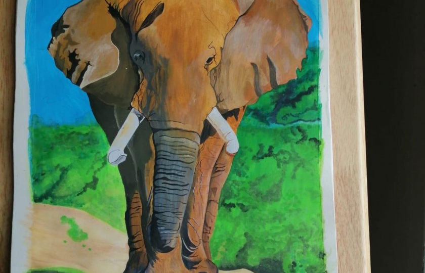 Painting of elephant - Elton MS 